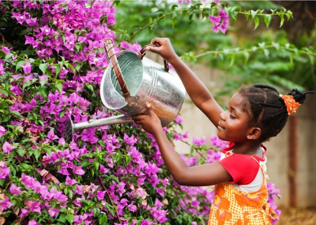 Pull weeds and water plants